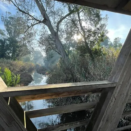 Granny's Pensionat Praia de Mira