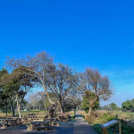 Granny's Pensionat 3*