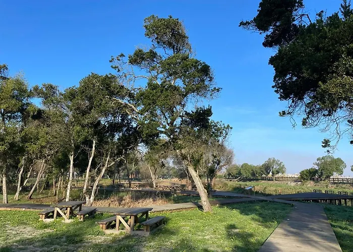 Granny's 普拉亚德米拉